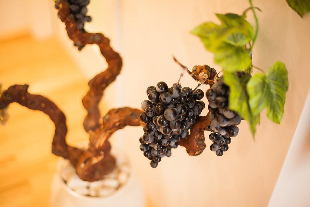 Appartamento Vineyard Of Šibenik Camera foto